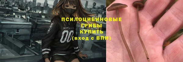 СК Армянск