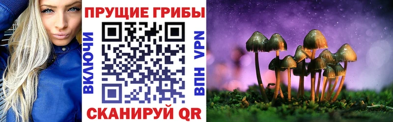 OMG tor  наркотики  Бугульма  Псилоцибиновые грибы Cubensis 